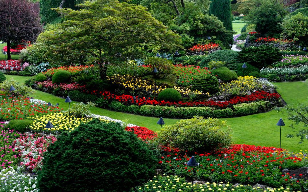 Leveraging Landscape Technology To Improve Your Landscaping Business
