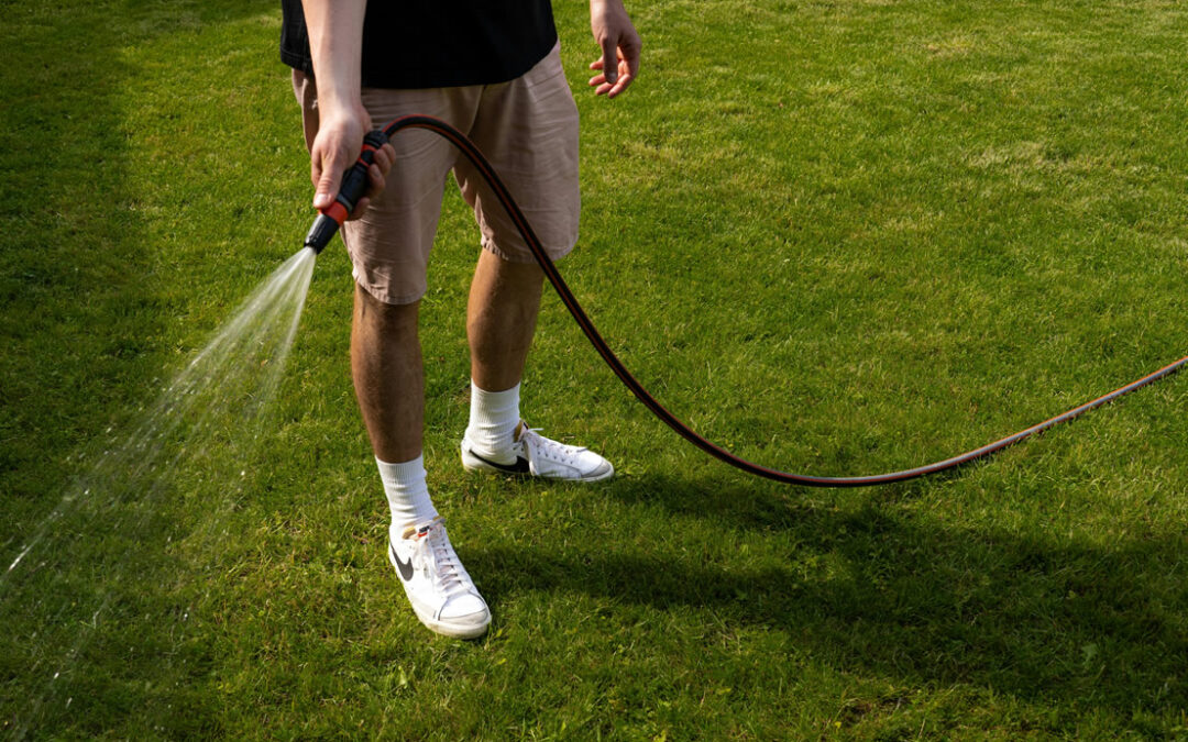 Water Conservation: Creating a Sustainable Lawn for Drier Days