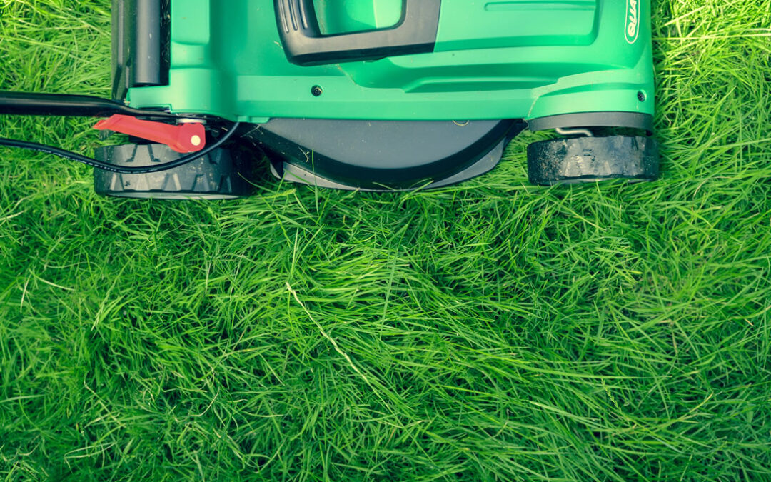 How To Position Your Lawn Mower Blades for Different Types of Grass